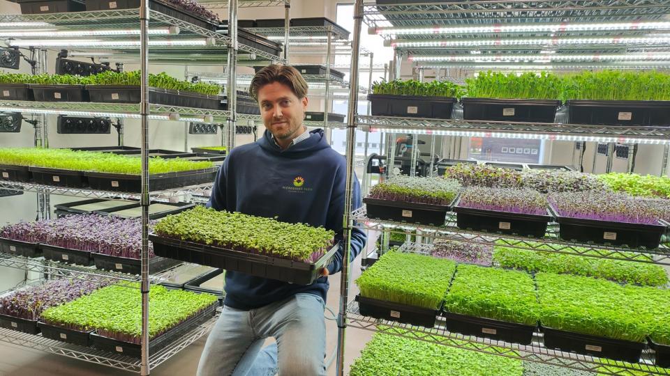 Man bij kleine plantjes