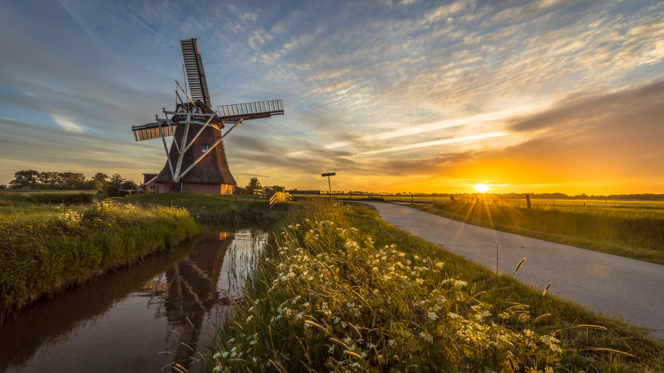 Niet-productieve investeringen landschap, biodiversiteit en water - Fryslân