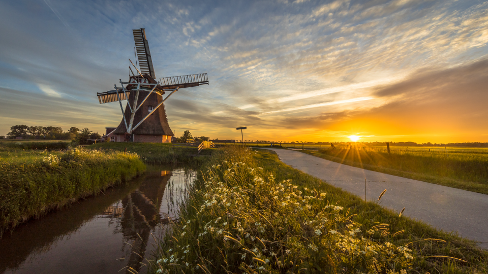 Niet-productieve investeringen landschap, biodiversiteit en water - Fryslân 