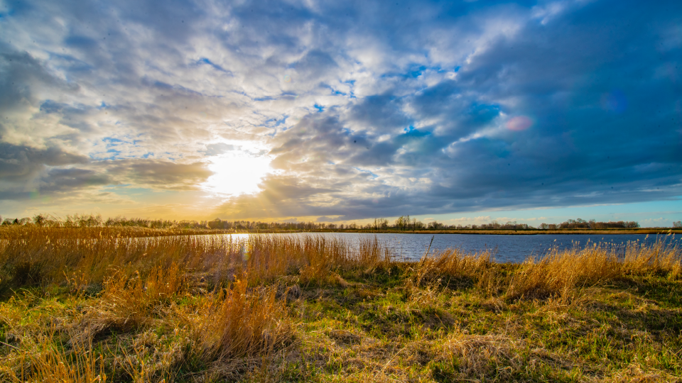 NPI_Groningen website