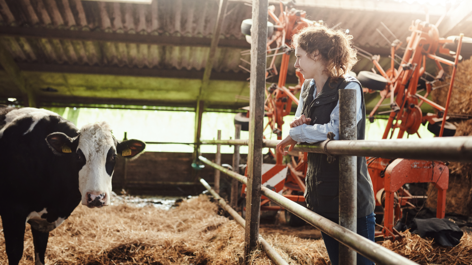 Biodiversiteit op het landbouwbedrijf en Jonge Boeren regeling 2024 Drenthe