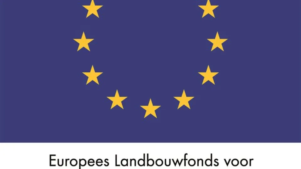 Logo EU: Europees Landbouwfonds voor Plattelandsontwikkeling: Europa investeert in zijn platteland