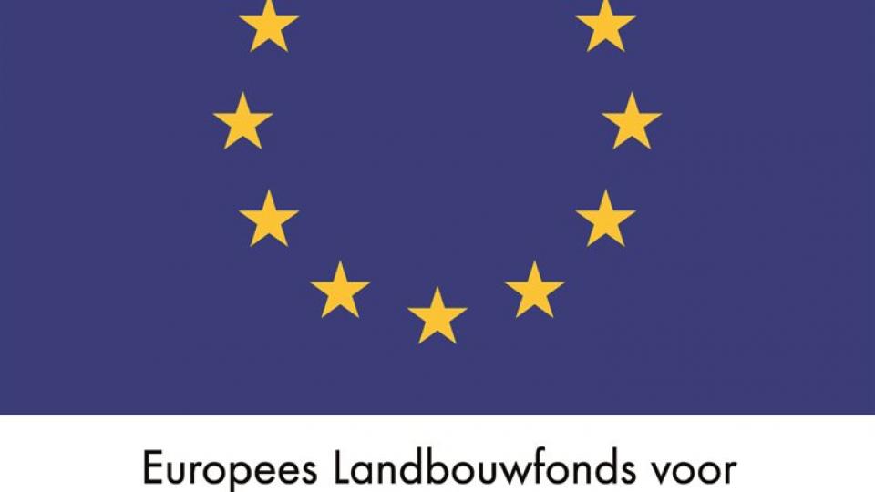 Logo EU: Europees Landbouwfonds voor Plattelandsontwikkeling: Europa investeert in zijn platteland