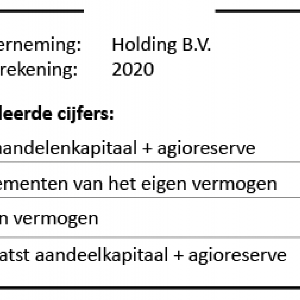 Hulp bij een VIAsubsidie SNN