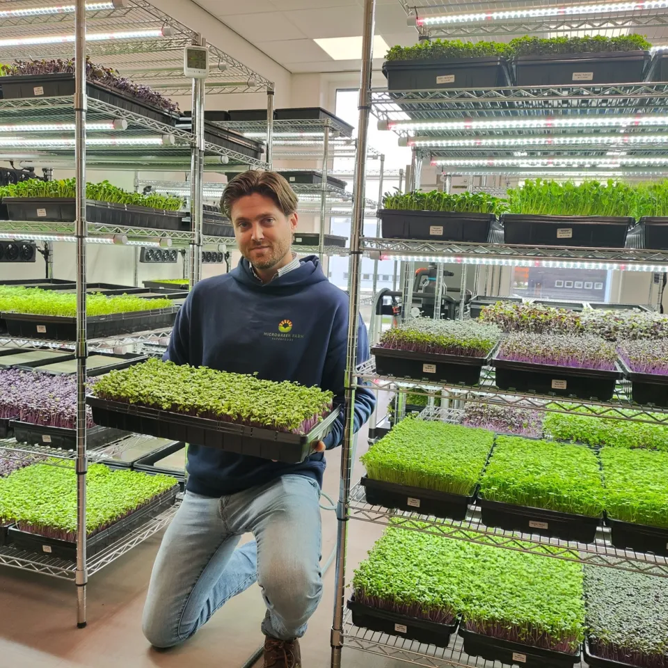 Man bij kleine plantjes
