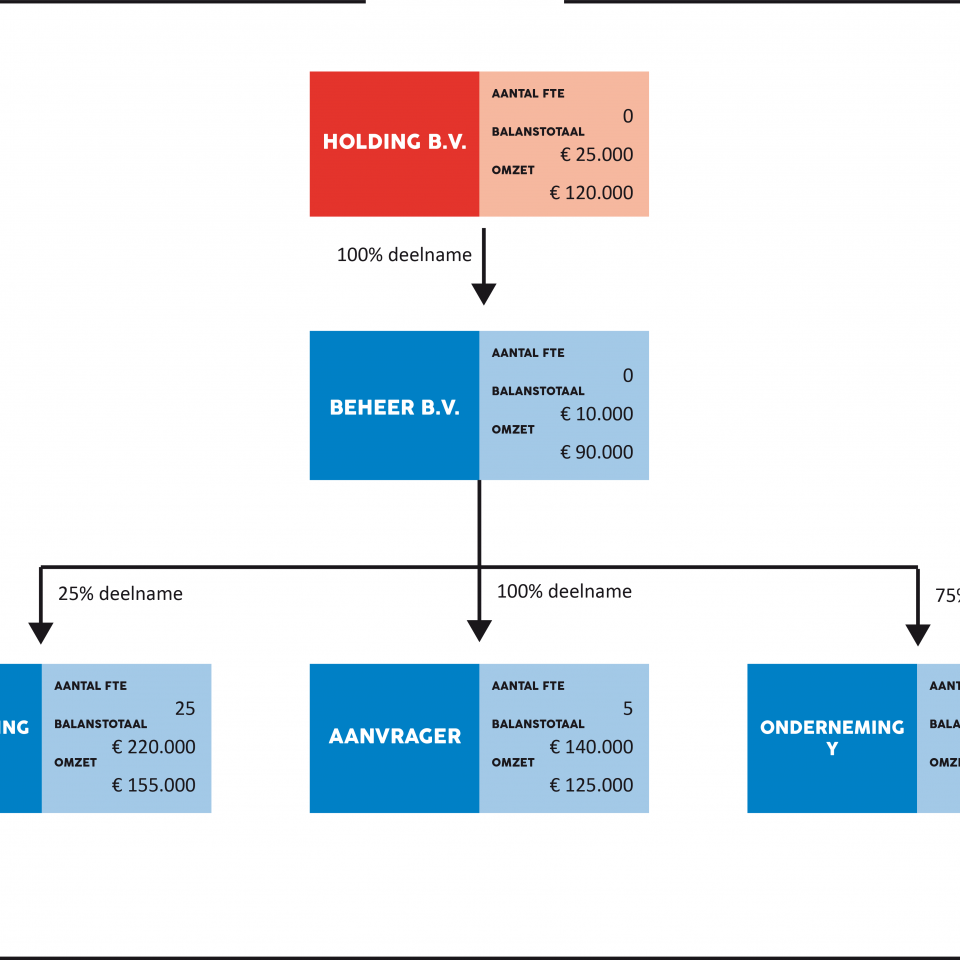 Schematische weergave van een organisatiestructuur. De structuur bestaat uit een bovenliggende holding met daaronder 4 B.V.'s. Per B.V. staat het aantal FTE, Balanstotaal en omzet genoteerd.
