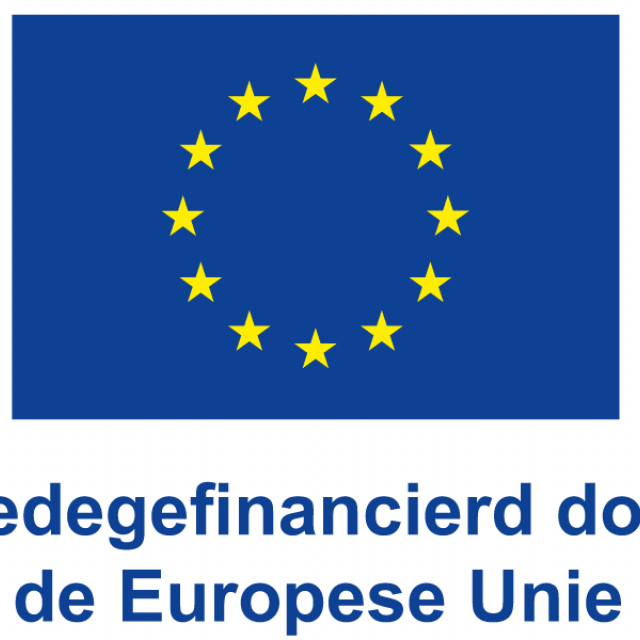 Logo Europese Unie