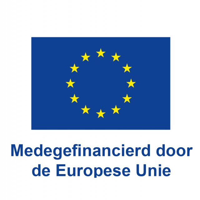 Logo Europese Unie