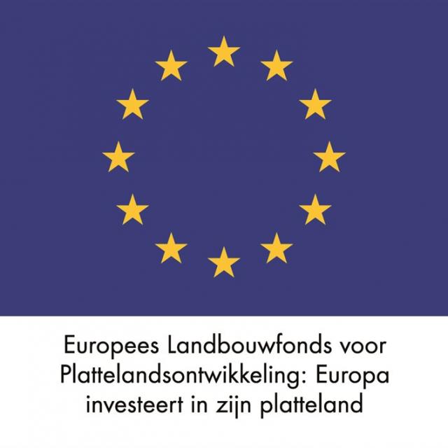 Logo Europese Unie